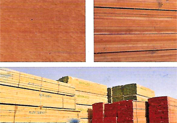 European Timber